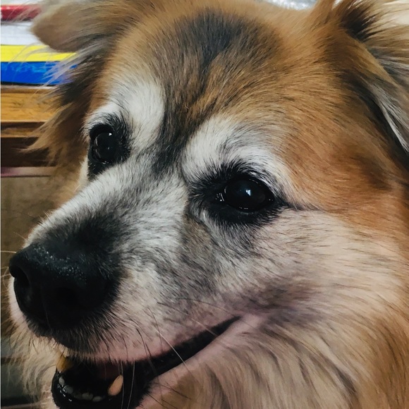 Meet your Posher, Kelly - Picture 3 of 3